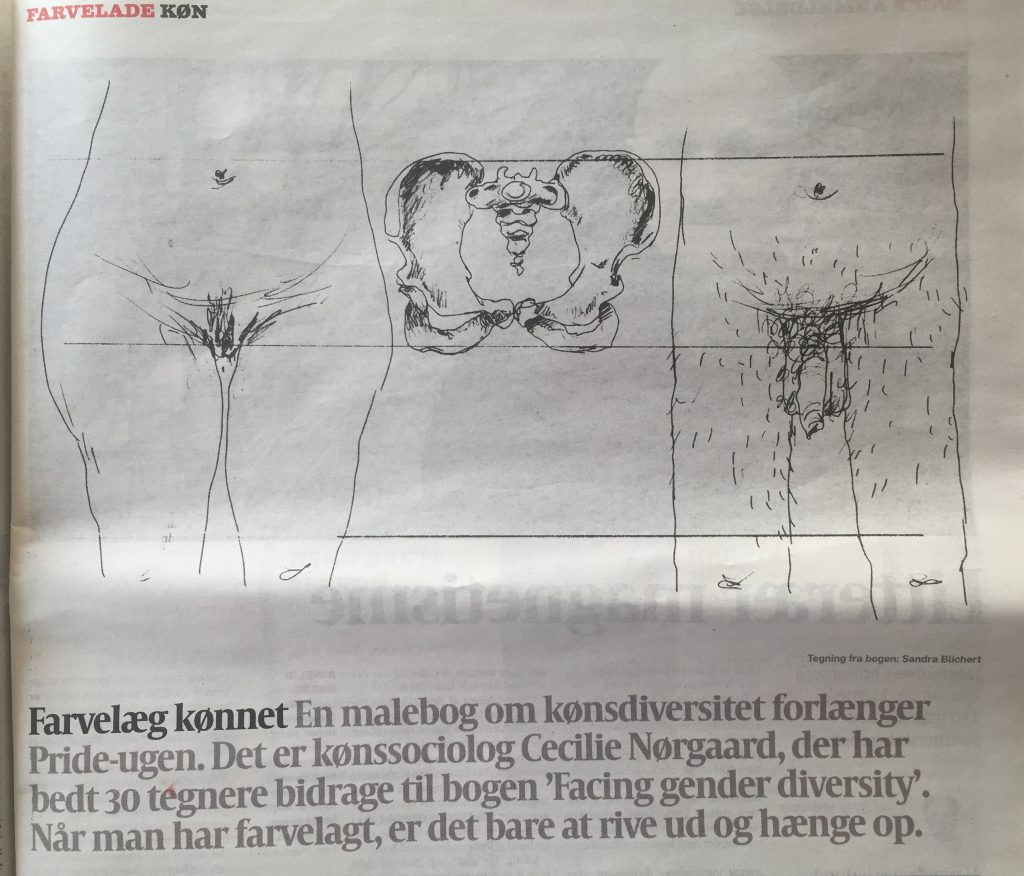 politiken_august